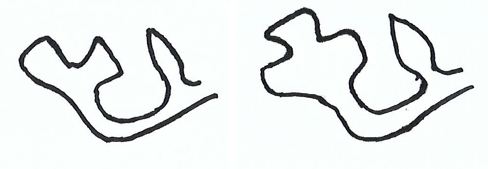 Design of Crown Side Fleurs